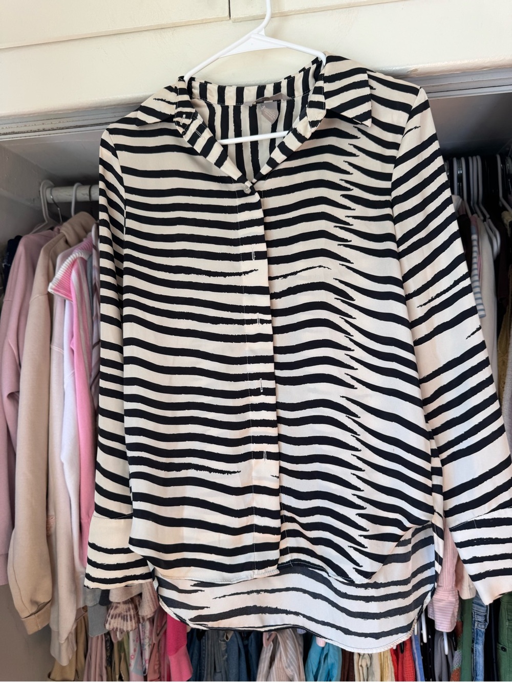H&M Black and Cream Zebra Stripe Button-Down Shirt